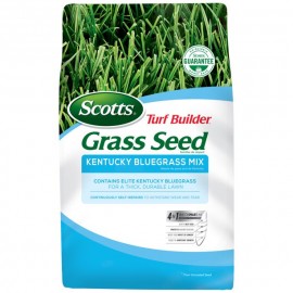 Scotts Turf Builder Grass Seed, 3 lbs